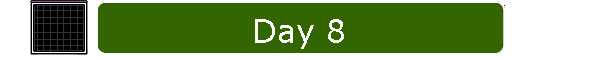 Day 8