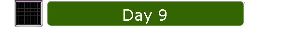 Day 9