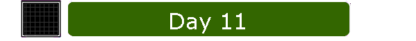 Day 11