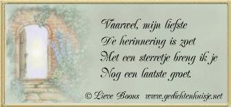 Copyright Lieve Boons!