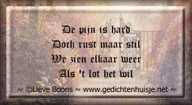 Copyright Lieve Boons!