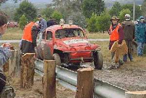 Jaffa at the starting gates