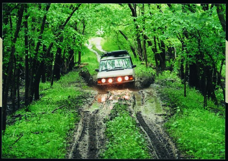 Range Rover Forest