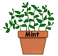 /user/mint.gif
