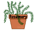 /user/rosemary.gif