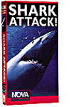 Movie cover: Shark Attack