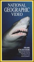 Movie cover: Shark Encounter