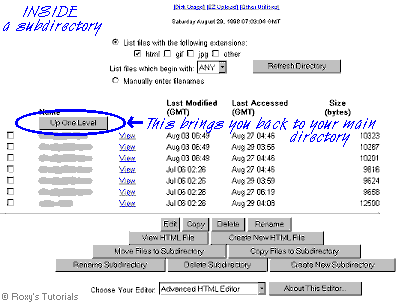 Inside a subdirectory - what it looks like - image � Roxanne M. Flanagan