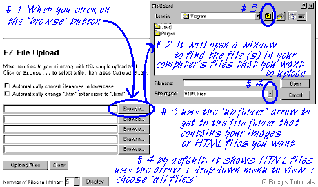 uploading - window that will come up when you click on the browse button - image � 
Roxanne M. Flanagan