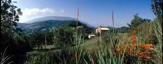 Casa Rosa panorama