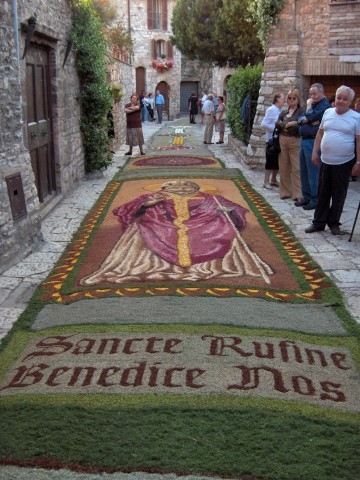 Corpus Christi flower pictures