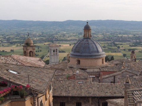 View of&nbsp; Rooftops