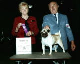 CH Crowells' Jessica of Royal A