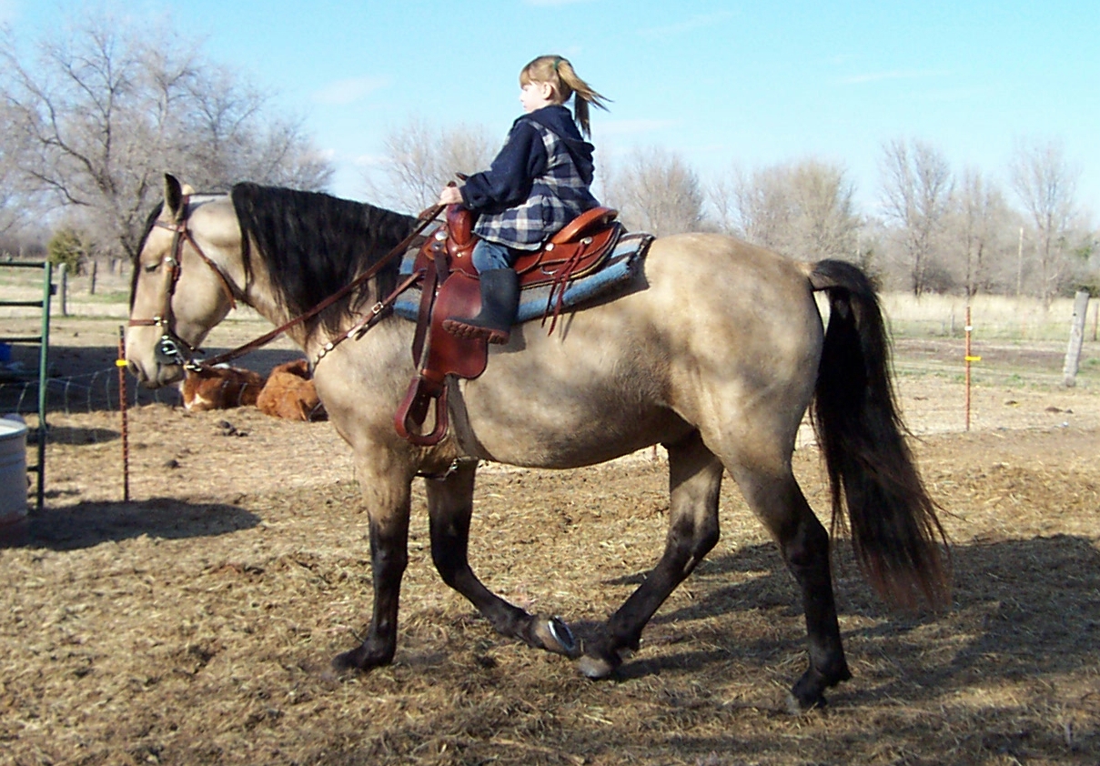"I'll sleep while you ride."