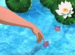 Jas' fishes