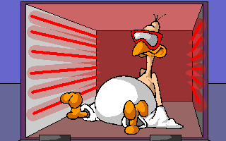 Thanksgiving Surprise