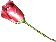 Romance y Seducci�n!!!