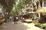 Avenue of the Flowers - Rambla de les Flors