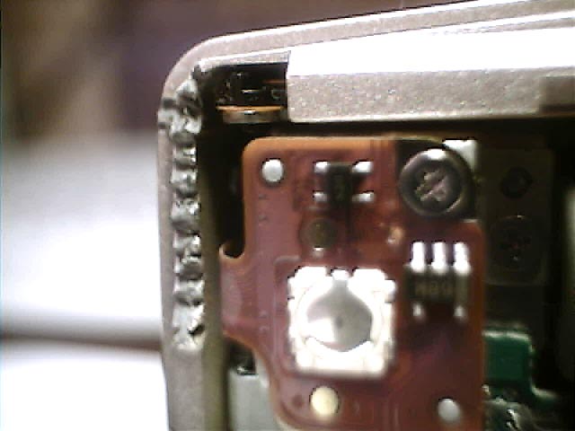 back view