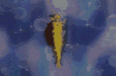 /user/3transform.gif