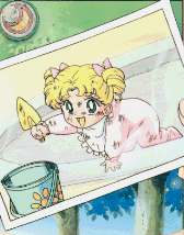 baby usagi
