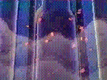 /user/opening2.gif