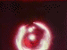/user/plutoattack2.gif