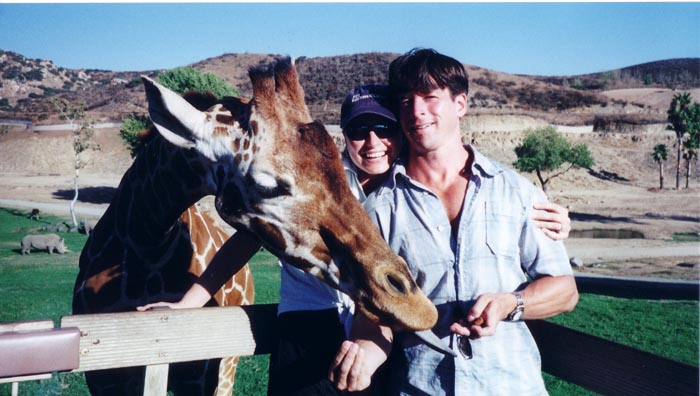 animals.jpg