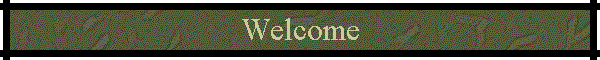 Welcome