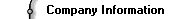company_information