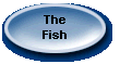  The  Fish