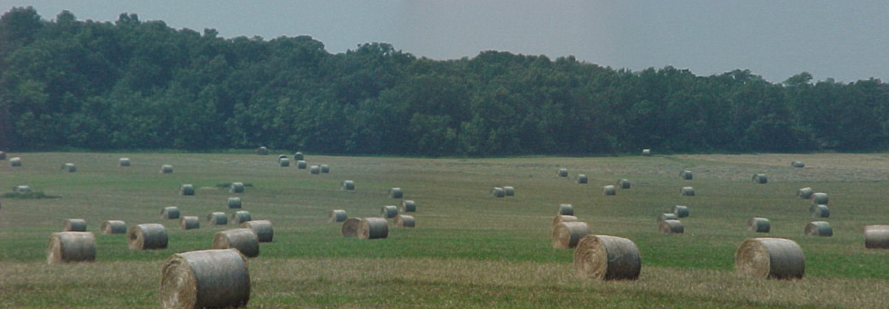 Minnesota Crop Circles