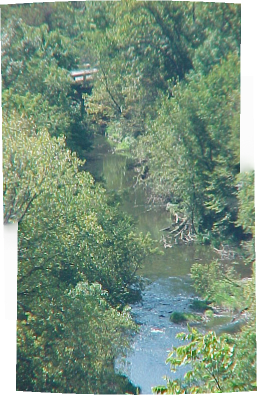 Forestville Stream