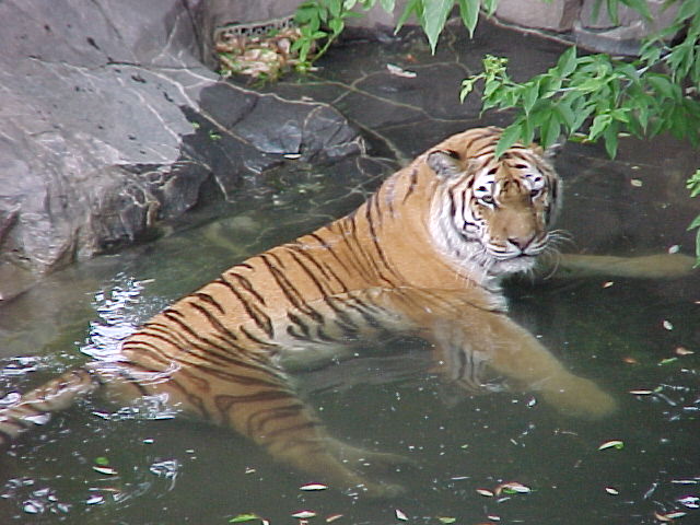 Cooling Off