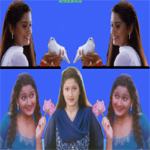 Laila Photo