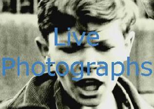 Live Photographs