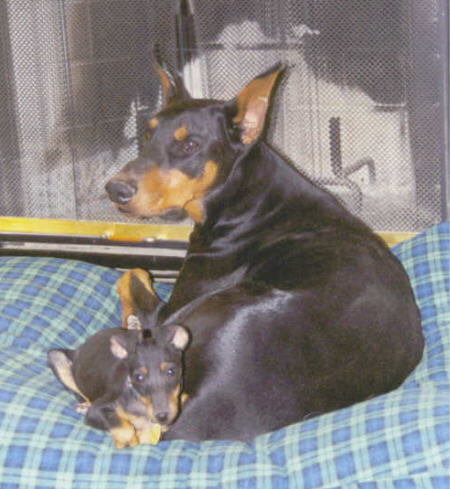 Luke and Speedy