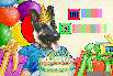 thumbnail of your picture 16