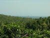 kovalam light house