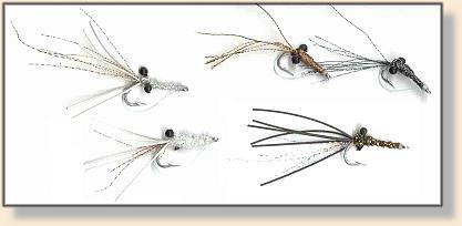 Shrimples by Capt Barry Evans