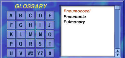 IMCI glossary interface