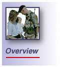 FAPMIP overview page icon
