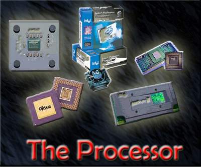 the processor