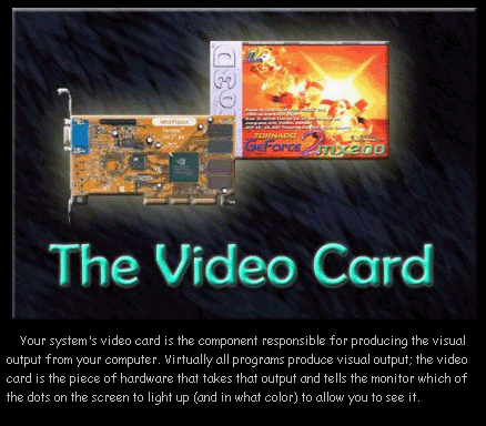 the Video Card