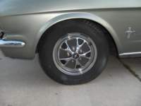 onthecar_small.jpg