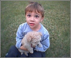 FABY & SUGAR