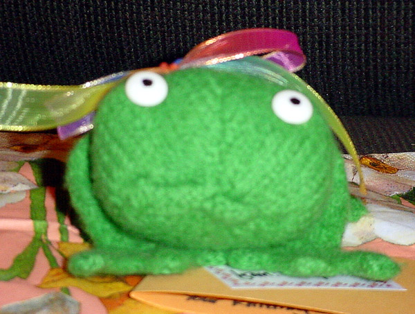 I'M ON THE WEB @ www.frogknits.com RRRRIBBBBBEEETT!!!