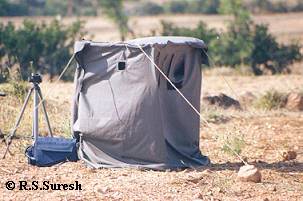 Hide used for photographing most of the birds especially ground nesting birds