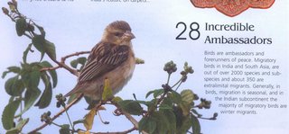 Female Baya Weaver on the article on Sultanpur Bird Sanctuary in January 2008 issue of Incredible India