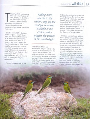 Green Bee-eaters on the article on Sultanpur Bird Sanctuary in January 2008 issue of Incredible India